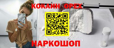 молекула духа Кингисепп