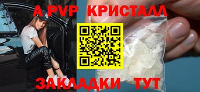 молекула духа Кингисепп