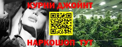 дмт Кимры