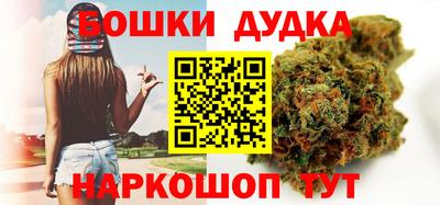 молекула духа Кингисепп