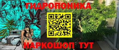 дмт Кимры