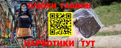 молекула духа Кингисепп