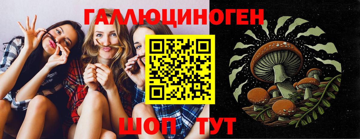 где можно купить наркотик  Псилоцибиновые грибы прущие грибы  Вход с VPN  Кисловодск 