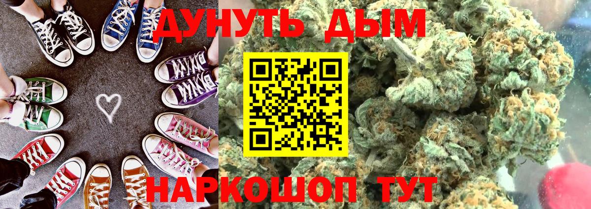 Конопля конопля  Конопля VHQ  Бошки Шишки план  Вход с VPN  Кисловодск  Каннабис ГИДРОПОН 